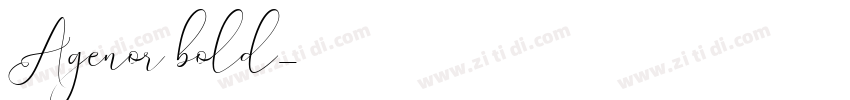 Agenor bold字体转换